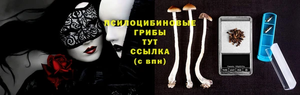 сатива Заволжье