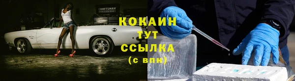 сатива Заволжье