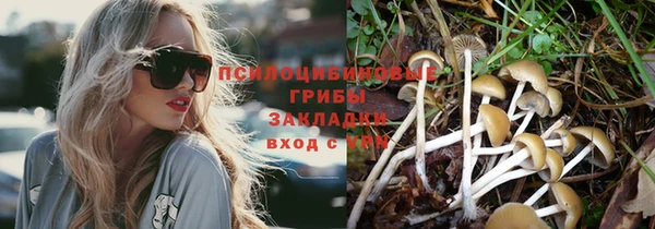 героин Заводоуковск