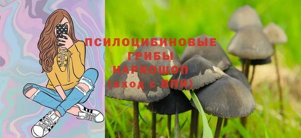 сатива Заволжье