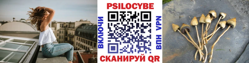 купить наркотик  Кадников  Псилоцибиновые грибы Cubensis 