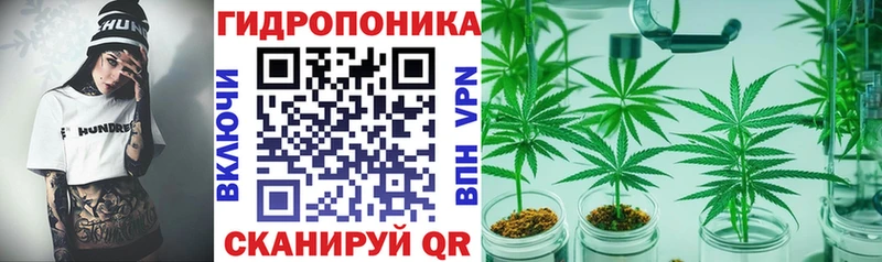 Бошки Шишки планчик  Кадников 